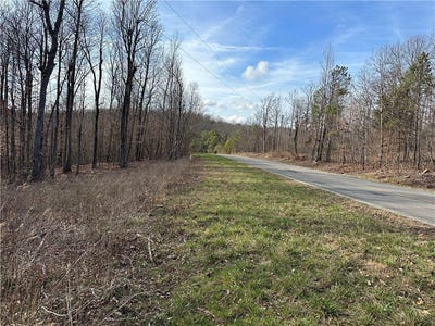 /international/us/hwy-327-deer-ar-110106253005/