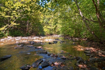 /international/us/3602-alta-alderson-wv-110120510460/