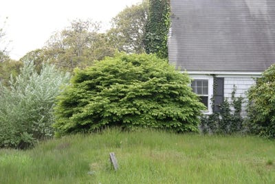 /international/us/1761-main-street-chatham-ma-110099662645/