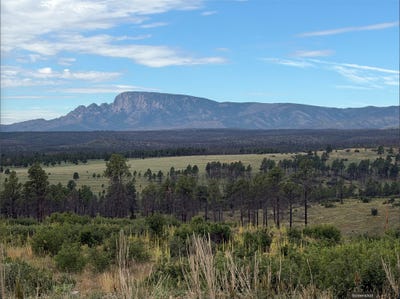 /international/us/696-nm-highway-94-rociada-nm-110120586375/