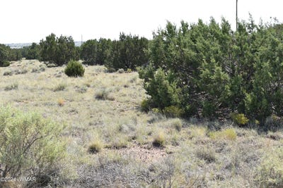 /international/us/96-alpine-lane-concho-az-110090693115/