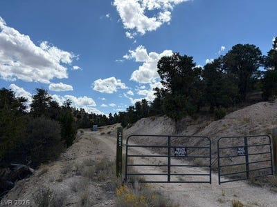 /international/us/285-e-ward-mountain-drive-ely-nv-110110268852/
