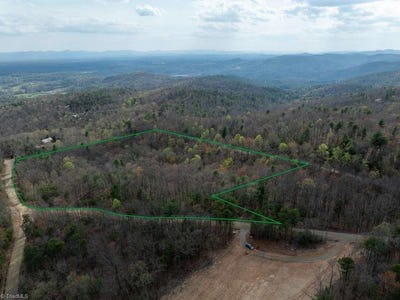 /international/us/chestnut-mountain-farms-parkway-mcgrady-nc-110107893213/
