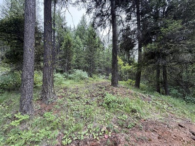 /international/us/mule-deer-rd-lot-se-republic-wa-110109113618/