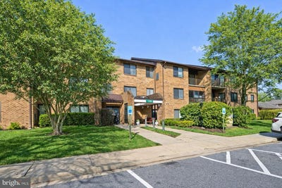/international/us/15300-pine-orchard-drive-silver-spring-md-110106499248/