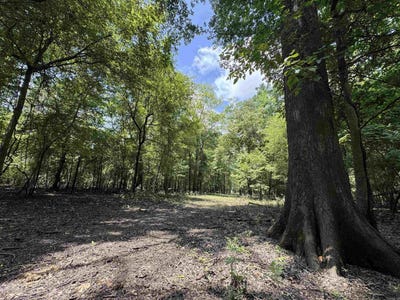 /international/us/00-70-highway-biscoe-ar-110100729157/
