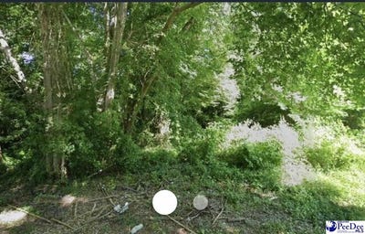 /international/us/100-2nd-ave-bennettsville-sc-110110084226/