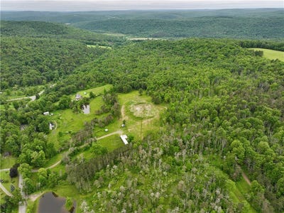 /international/us/320-owl-creek-rd-spencer-ny-110097807893/