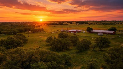 /international/us/1360-w-us-hwy-84-mullin-tx-110107718880/