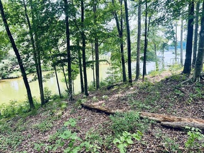 /international/us/waterside-point-lot-22-abbeville-sc-110110049264/
