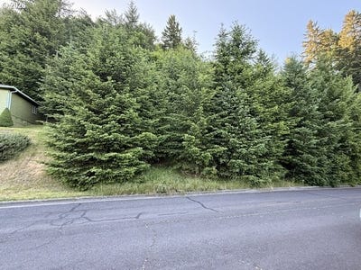 /international/us/kalapuya-way-cottagegrove-or-110107048178/