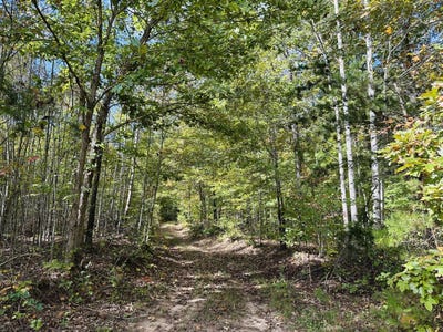 /international/us/438-mountain-top-road-new-canton-va-110102816805/