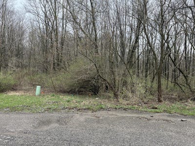 /international/us/11-forest-shores-drive-cassopolis-mi-110107173384/