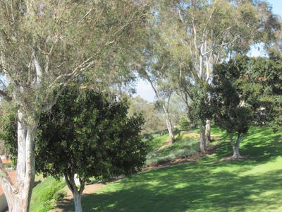 /international/us/5370-punta-alta-laguna-woods-ca-110108239985/