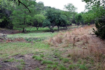 /international/us/1700-primrose-kerrville-tx-110100927088/