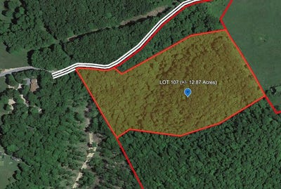 /international/us/924-bragg-road-bragg-wv-110103326693/