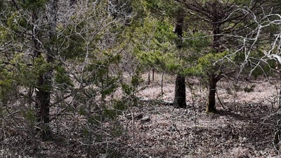 /international/us/40-acres-buggy-creek-in-compton-hollow-talihina-ok-110105361362/