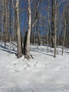 /international/us/131-huntersfield-rd-prattsville-ny-110106056368/