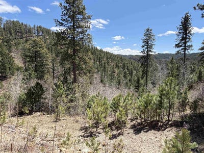 /international/us/tbd-aspen-creek-dr-lead-sd-110107827757/