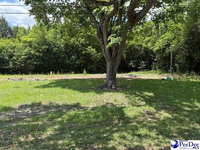 /international/us/1108-e-hudson-street-dillon-sc-110107990360/