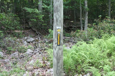 /international/us/high-valley-s-lot-52-monterey-va-110088542019/