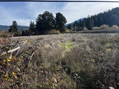 /international/us/holmes-flat-road-redcrest-ca-110088793184/
