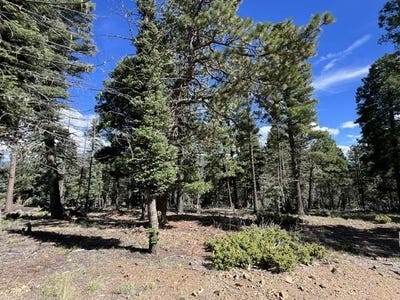 /international/us/cimarron-trail-angel-fire-nm-110110350214/