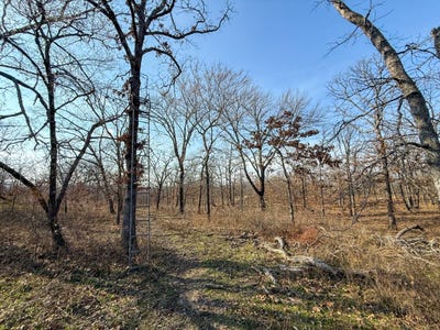 /international/us/3-5501-shady-grove-rd-wardville-ok-110106231759/