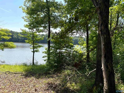 /international/us/62-acres-county-road-628-cedar-bluff-al-110108691534/