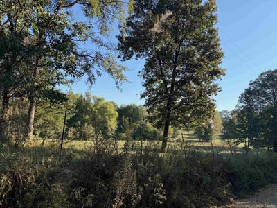 /international/us/polk-road-19-cove-ar-110102859227/
