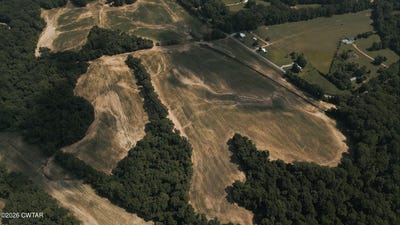 /international/us/girl-scout-road-burlison-tn-110108194948/