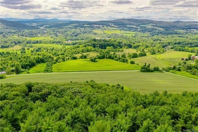 /international/us/yonderview-road-hillsdale-ny-110091273836/