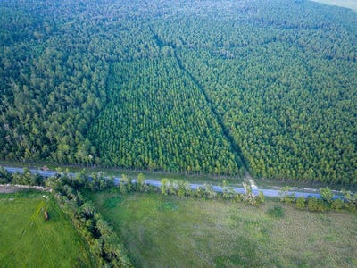 /international/us/t-1-starks-big-woods-rd-lake-charles-la-110101806048/