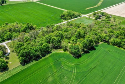 /international/us/29923-ivy-road-carl-junction-mo-110091569887/