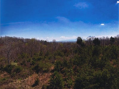 /international/us/317-mountain-view-drive-vonore-tn-110106672975/