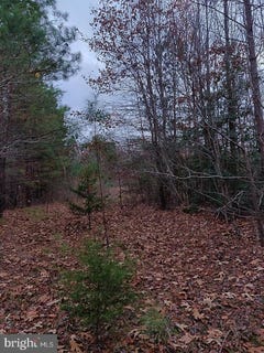 /international/us/us-route-1-ruther-glen-va-110100375032/?lang=zh-tw