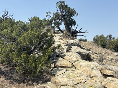 /international/us/lots-63-64-abbe-springs-ranch-magdalena-nm-110100625269/