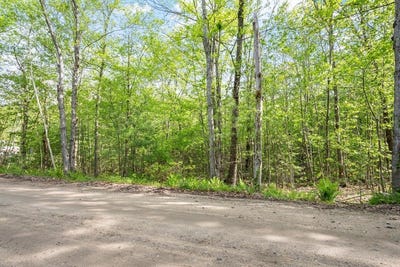 /international/us/whitney-rd-ashby-ma-110108580983/