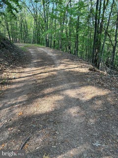 /international/us/699-chickloon-lane-great-cacapon-wv-110093311159/?lang=fr