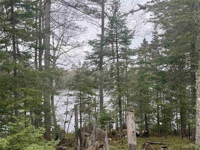 /international/us/n-horseshoe-lake-road-republic-mi-110108235847/