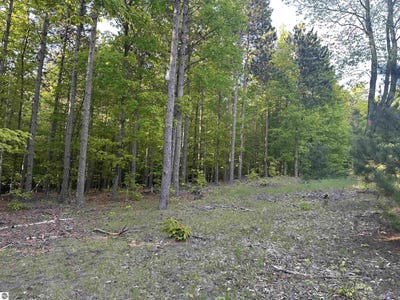 /international/us/parcel-8-karnes-road-glen-arbor-mi-110100549198/?lang=fr
