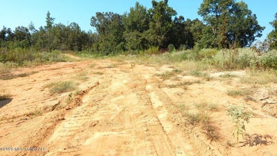 /international/us/275-county-road-239-tillatoba-ms-110119800192/
