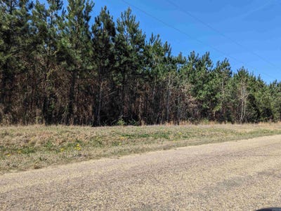 /international/us/6-51-acres-ouachita-5-stephens-ar-110090610782/