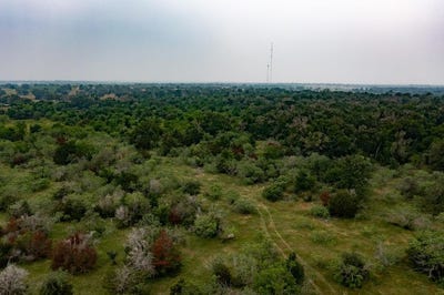 /international/us/private-road-4601-lot-3-waelder-tx-110100077649/