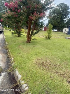 /international/us/116-peel-street-williamston-nc-110109000866/