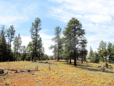 /international/us/forest-road-157-ramah-nm-110107310079/