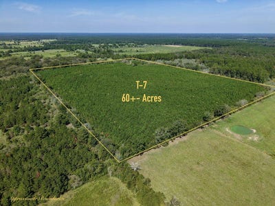 /international/us/pid-32385-fm-844-huntington-tx-110120449236/
