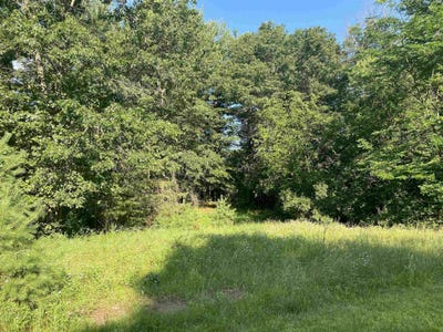/international/us/lot-1-springville-drive-plover-wi-110101051658/