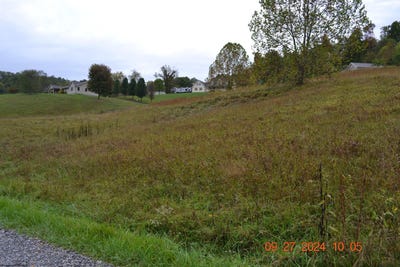 /international/us/dutch-hollow-weston-wv-110094838968/