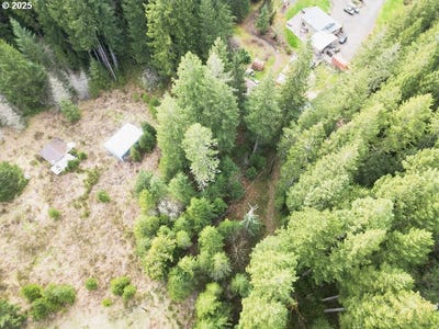 /international/us/000-nw-midway-dr-timber-or-110099299505/